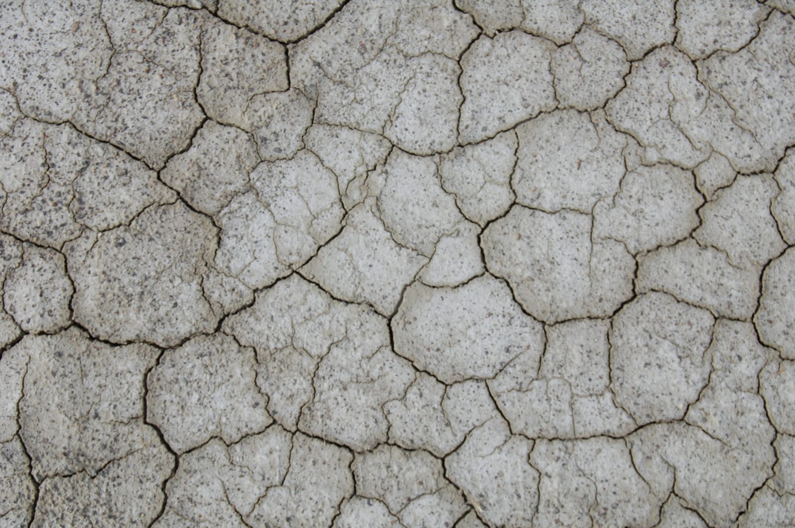 Dry, pale earth cracked into a mosaic of plates