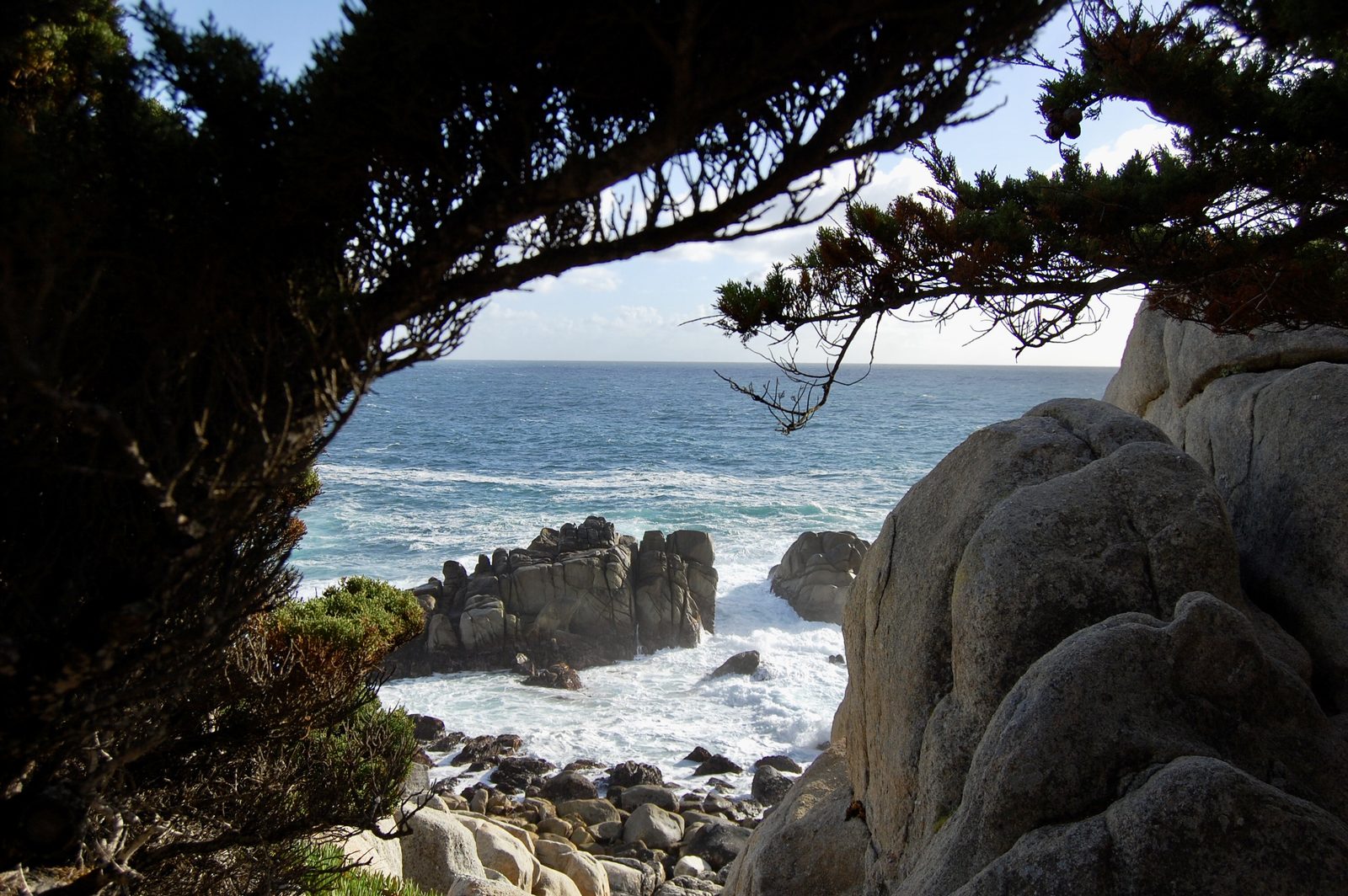 Cypress branches framing granite rocks and a deep blue ocean