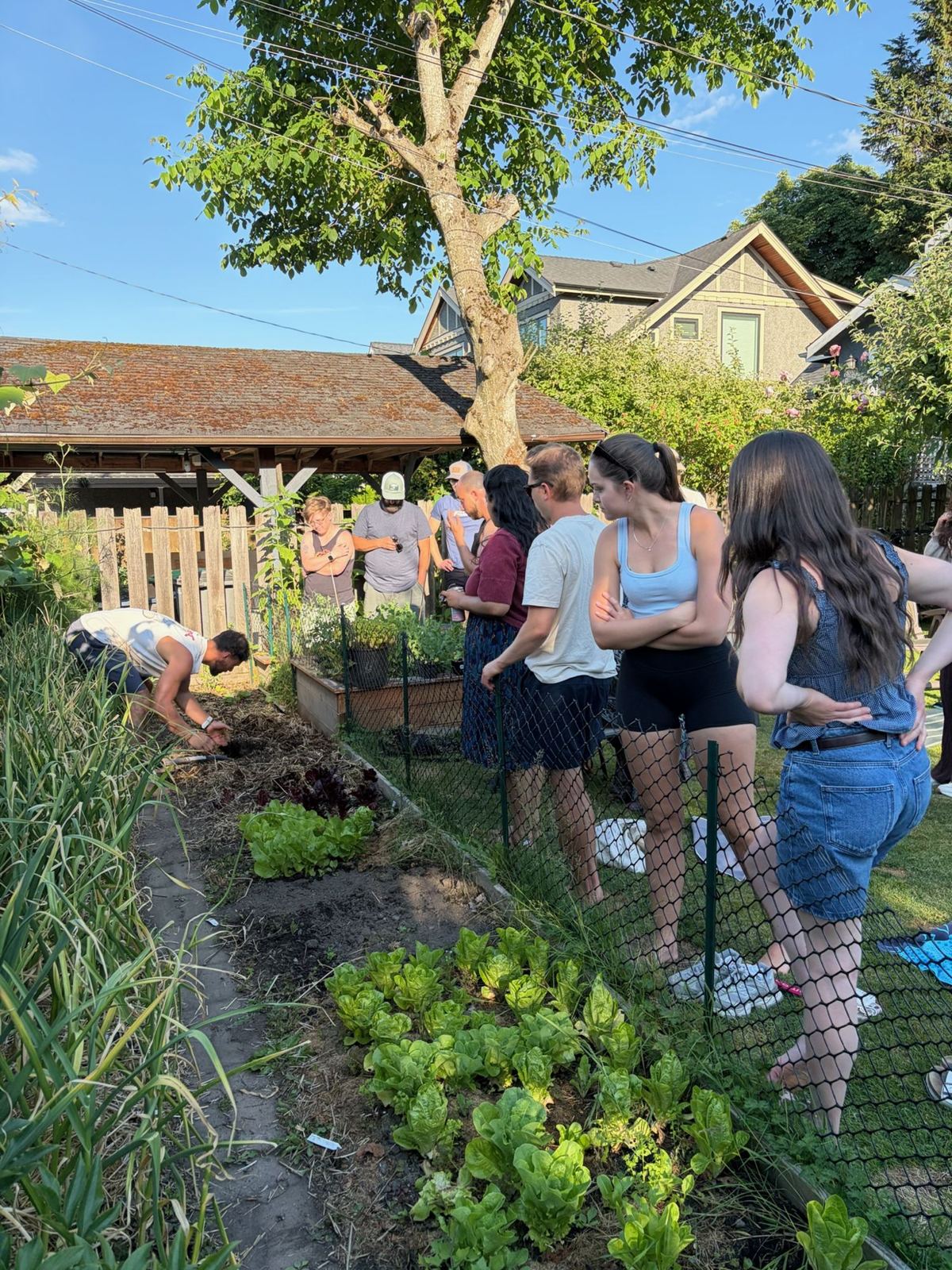 A group touring a narrow backyard garden bed in the evening sun