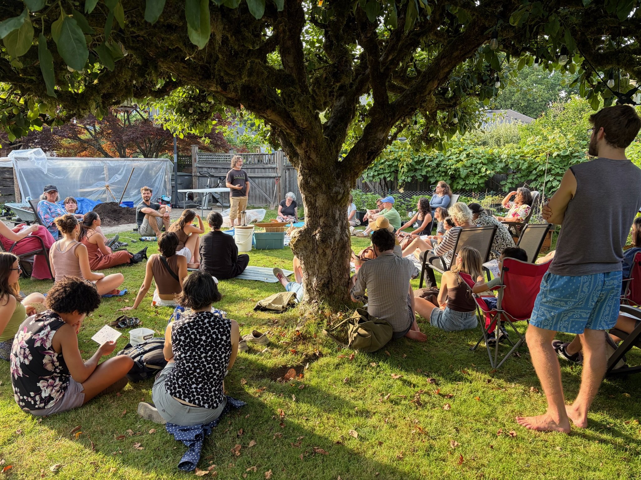 A community gathering seated on the grass beneath a large apple tree in golden evening light