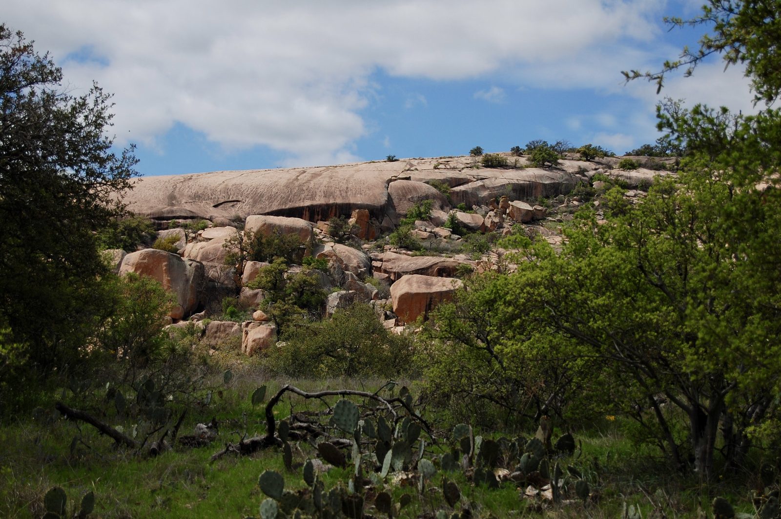 A pink granite dome rising above green brush and prickly pear