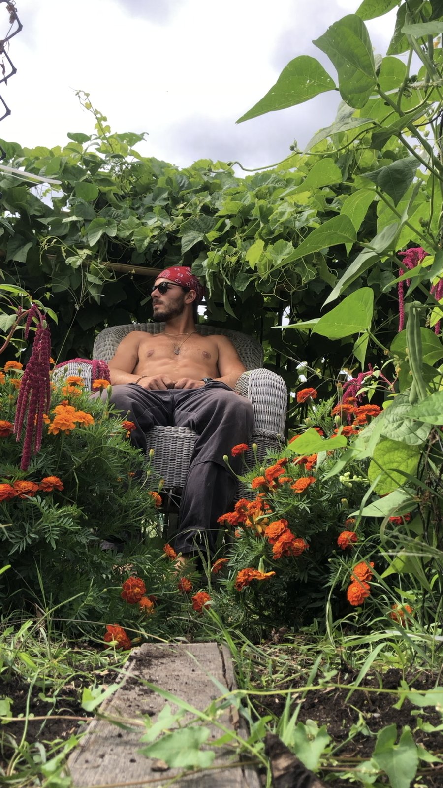 Nathan relaxing in a wicker chair surrounded by marigolds, amaranth and climbing beans
