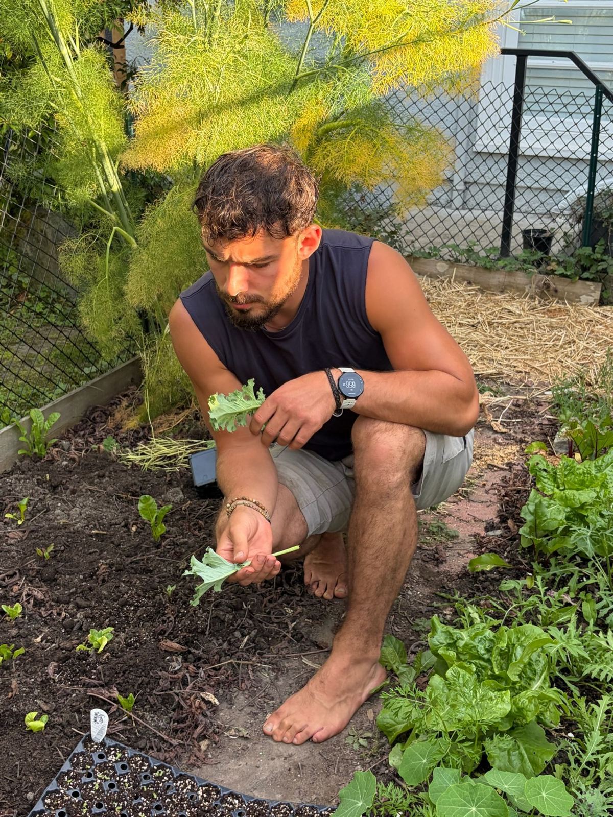 Nathan crouching barefoot in the garden, inspecting a kale leaf