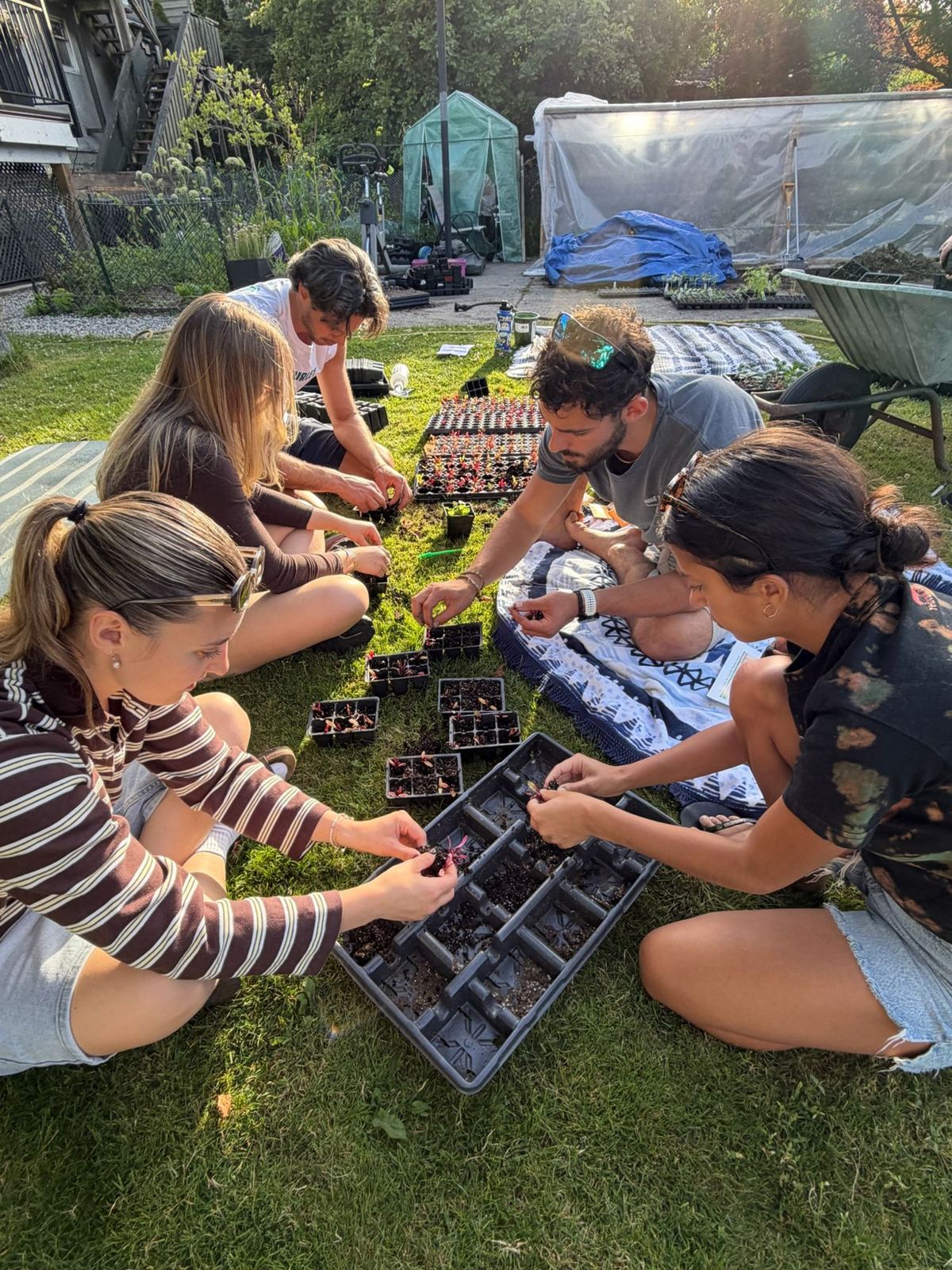 Participants sitting on the grass transplanting seedlings into trays